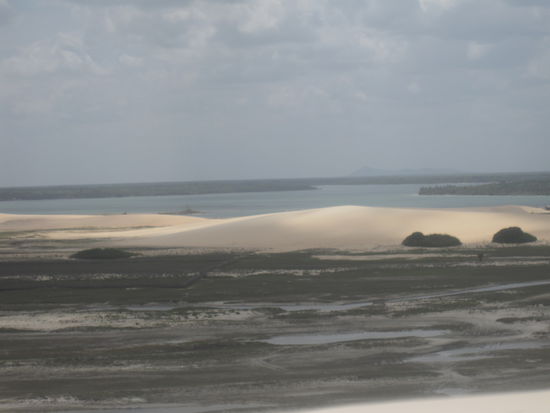 Aussicht aufs Duenenland