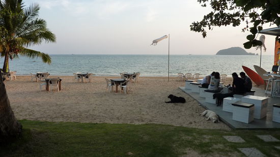 ...so dann abends kurz vor dem Essen!