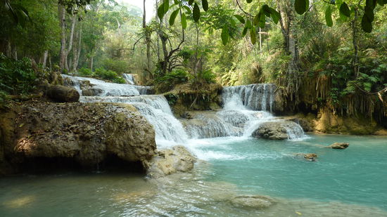 Eines der zahlreichen Badebecken am Kuang Si in der Nähe von Luang Prabang, das um die Uhrzeit noch menschenleer war.