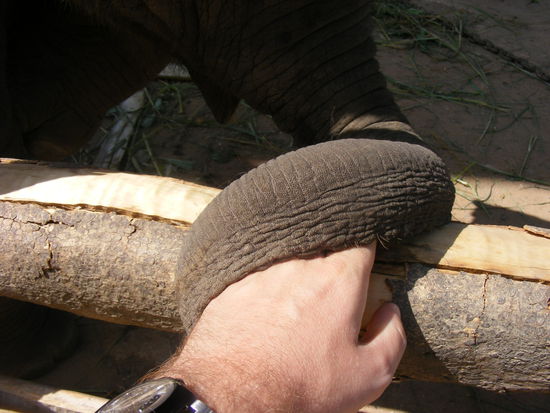 und da musste ich ihm mal die Hand geben...