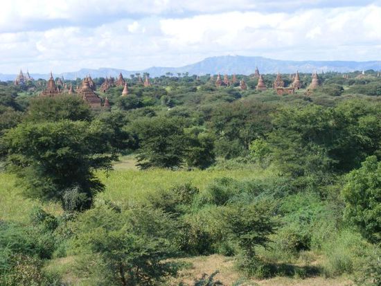 Blick von einer Pagode