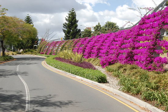 einfach nur ne Strasse