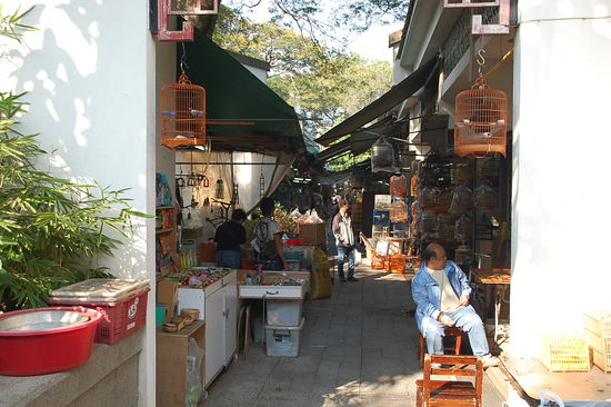 Vogel-Markt