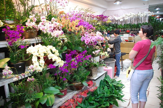 Blumen-Markt, ein Paradies für Myriam