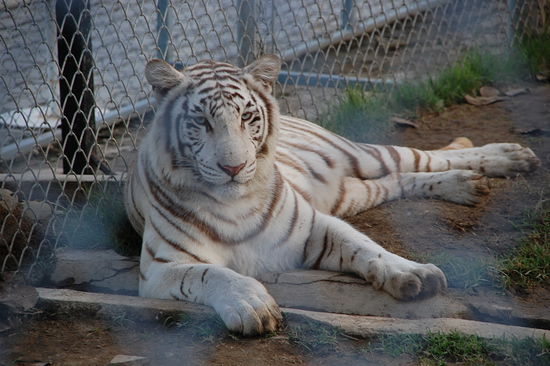 ich war nur 2 Meter weg....