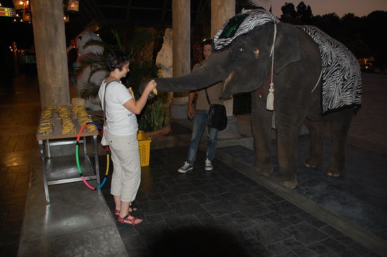 und noch ein neuer Freund