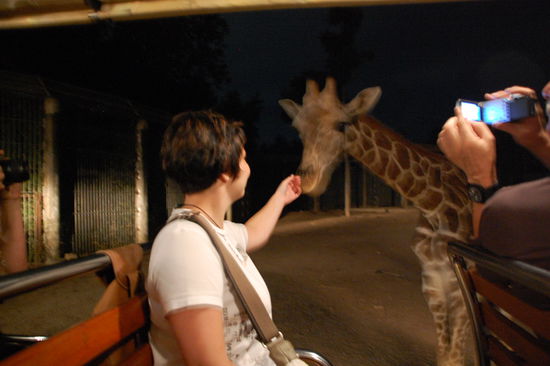 ...und wollte etwas zu fressen