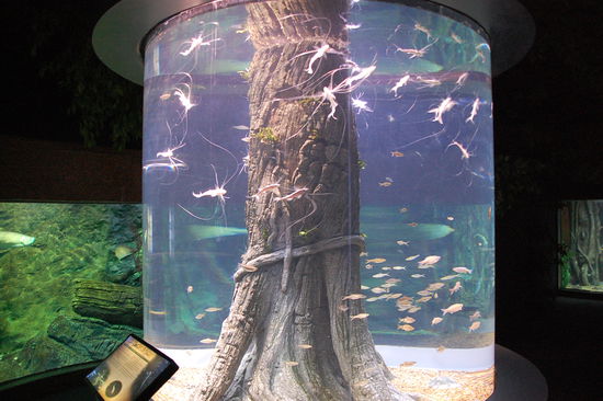 rundes Aquarium 
