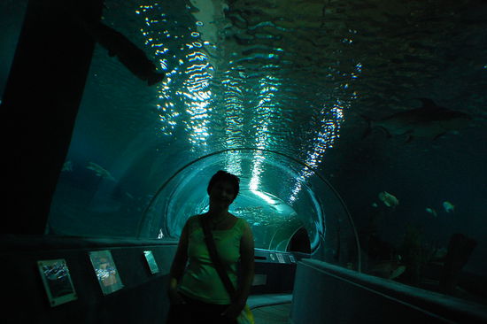 Aquarium zum durchlaufen 