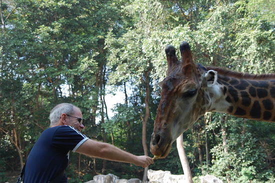 musste ich auch mal machen....
