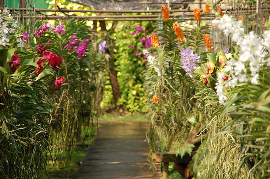 Orchideenfarm
