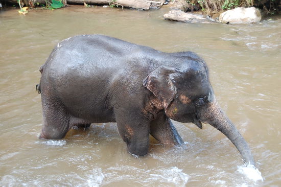 und wieder aufgestanden....