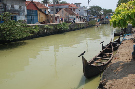 eine Fahrt mit einer Gondel gefällig 