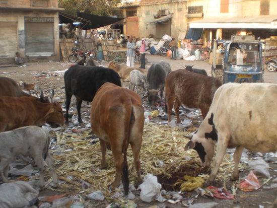 auch Chaos am Clock Tower