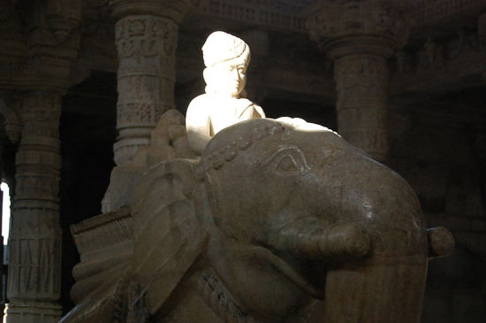 genau den richtigen Augenblick getroffen