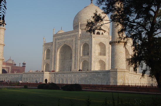 muss man gesehen haben....