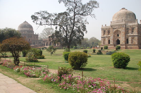 im Lodhi Park