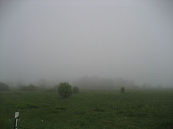 Malerische Wiesen in Estland - leider im Nebel