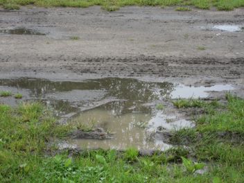 Eine malerische Pfütze am Wegesrand