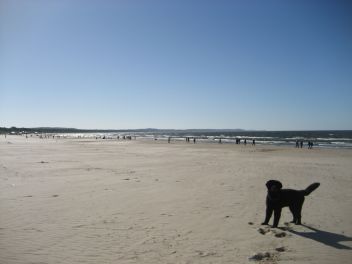 Ceddy am Strand von Swinoujscie