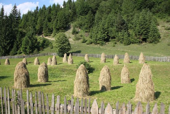 Malerische Heutürmchen am Wegesrand