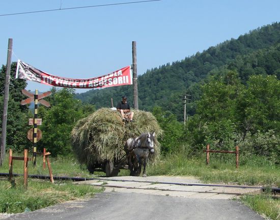 Hier ist gerade Heuernte. Die Menschen und die Pferde haben gut zu tun.