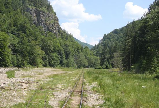 Ausblick auf unsere Strecke bei der Rückfahrt