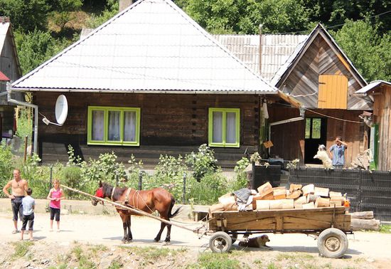 Und das Holz wird auch klein zerlegt per Pferdewagen weitertransportiert - schöne Troddeln hat das Pferd 
