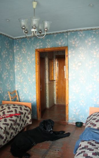 Und hier unser Zimmer mit malerischer Blümchentapete