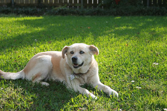 während Sandy nur zuguckt...