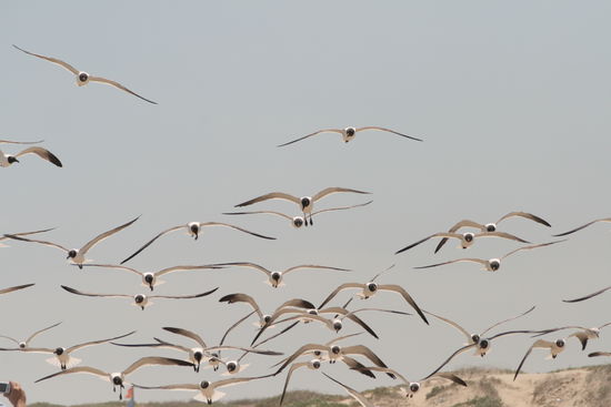 Aaaah.. Luftangriff!!!