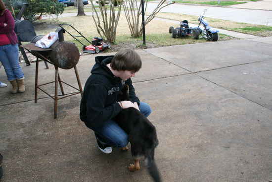 Die Hunde hier mögen mich scheinbar alle!