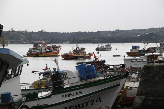 Fischerdorf Dalcahue