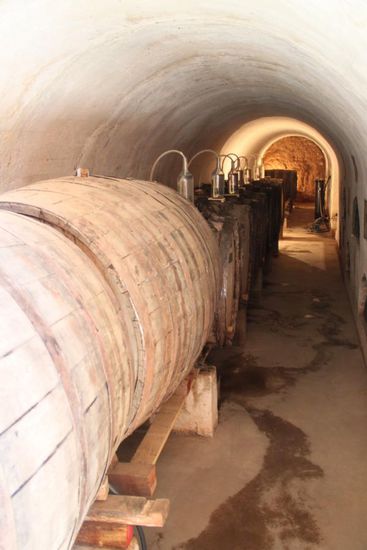 Fasslager fuer Pisco