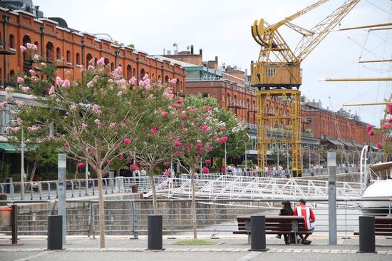 "Speicherstadt" in Buenos Aires
