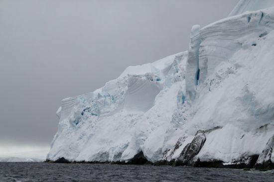 Eisbaer aufm Gletscher