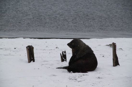 Net kratze, waschen!