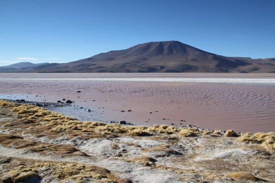 Laguna Colorada