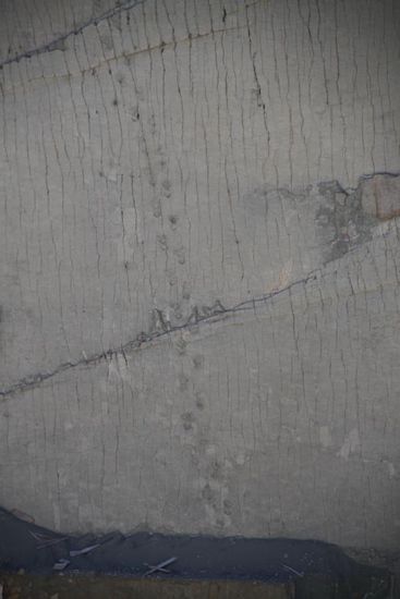 Ein Fussabdruck hat etwa Badewannengroesse