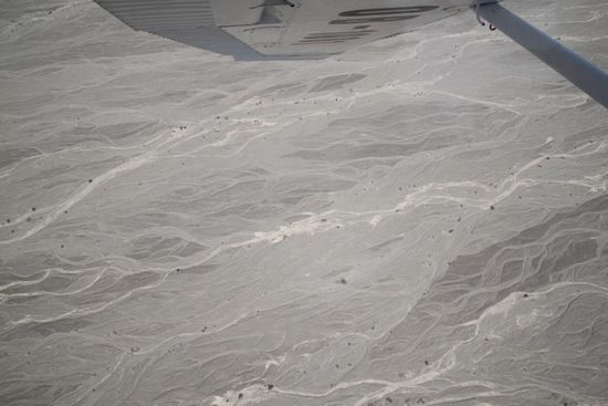 Blick aus dem Flieger