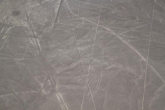 Der Condor mit 130 m