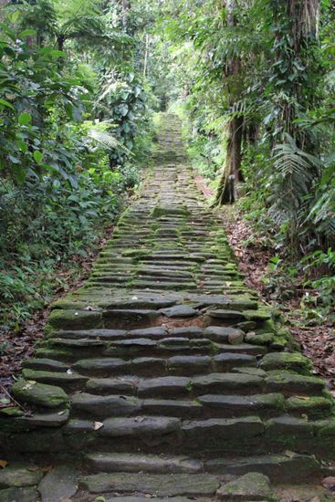 Stufen zur Ciudad Perdida