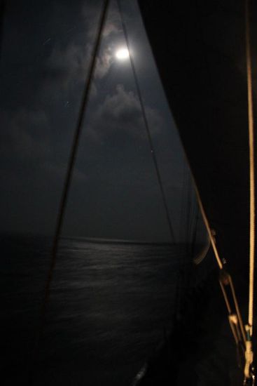 Nachtwache im Mondschein