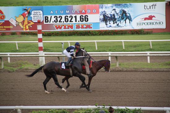 Warmlaufen der Nr. 4, Javiers Favorit