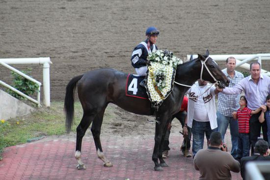 Und wer hat gewonnen?