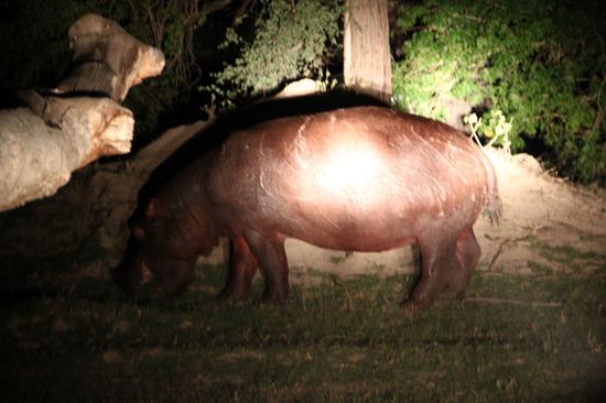 Besucher im Camp
