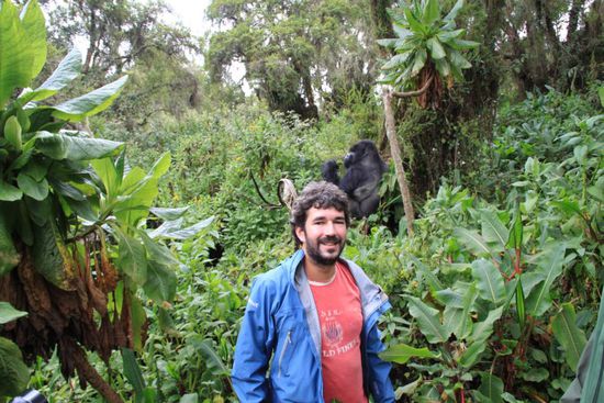 Silberruecken im Ruecken