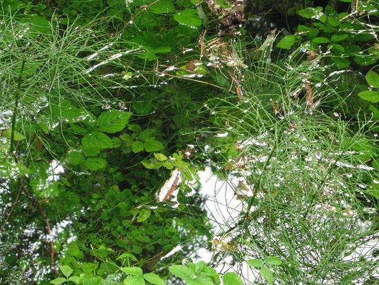Das Wetter spielte Süddeutschland schon seit Wochen einen bösen Streich. Dauerregen, teils sogar Überschwemmungen. Naja, Tschechien hatts schlimmer erwischt und es wird bestimmt bald besser.
