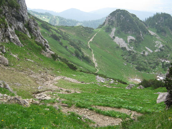 Endlich ein normaler Weg !