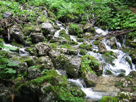 Unsere erste gefundene Quelle ! Das Wasser war so unglaublich gut, besser als jedes gekauftes.